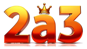 2a3